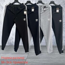 Штани спортивні чоловічі H1553 grey р.48-58 "Hai" недорого оптом від прямого постачальника