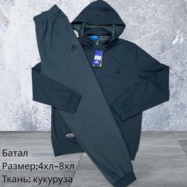 Костюм спортивний чоловічий H1572 d.grey р.4XL-8XL "Hai" недорого оптом від прямого постачальника
