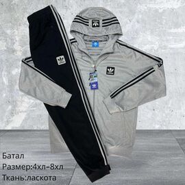 Костюм спортивний чоловічий H1578 l.grey р.4XL-8XL "Hai" недорого оптом від прямого постачальника