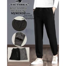Штани спортивні чоловічі 2127-3 mix р.4XL-7XL "ZERO" недорого оптом від прямого постачальника