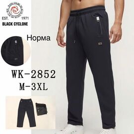 Штани спортивні чоловічі 2852 black р.M-3XL "ZERO" недорого оптом від прямого постачальника