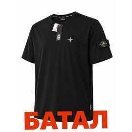Футболка чоловіча 14793 black р.2XL-6XL "Alex Clothes" недорого оптом від прямого постачальника