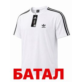 Футболка чоловіча 14794 white р.2XL-6XL "Alex Clothes" недорого оптом від прямого постачальника