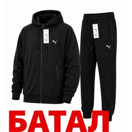 Костюм спортивний чоловічий 14833 black р.2XL-6XL "Alex Clothes" недорого оптом від прямого постачальника