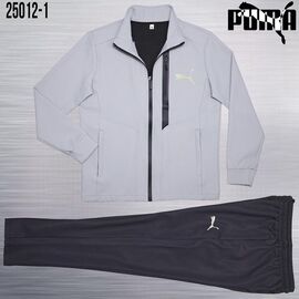 Костюм спортивний чоловічий AZ1006-25012-1 grey р.M-3XL "REMAIN" недорого оптом від прямого постачальника