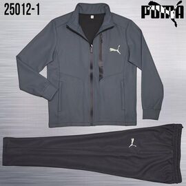 Костюм спортивний чоловічий AZ1007-25012-1 khaki р.M-3XL "REMAIN" недорого оптом від прямого постачальника