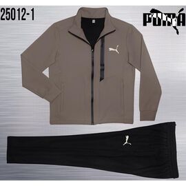 Костюм спортивний чоловічий AZ1008-25012-1 brown р.M-3XL "REMAIN" недорого оптом від прямого постачальника
