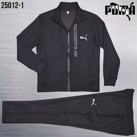 Костюм спортивний чоловічий AZ1009-25012-1 black р.M-3XL "REMAIN" недорого оптом від прямого постачальника