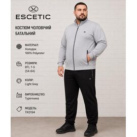 Костюм спортивний чоловічий AZ1029-1-5 grey р.54-62 "REMAIN" недорого оптом від прямого постачальника