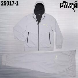 Костюм спортивний чоловічий AZ1052-25017-1 grey р.3XL-7XL "REMAIN" недорого оптом від прямого постачальника