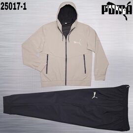 Костюм спортивний чоловічий AZ1053-25017-1 beige р.3XL-7XL "REMAIN" недорого оптом від прямого постачальника