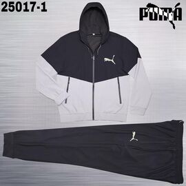 Костюм спортивний чоловічий AZ1056-25017-1 grey р.3XL-7XL "REMAIN" недорого оптом від прямого постачальника