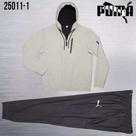 Костюм спортивний чоловічий AZ1062-25011-1 l.beige р.M-3XL "REMAIN" недорого оптом від прямого постачальника