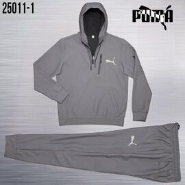 Костюм спортивний чоловічий AZ1063-25011-1 grey р.M-3XL "REMAIN" недорого оптом від прямого постачальника