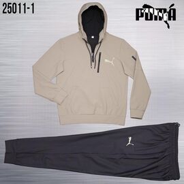 Костюм спортивний чоловічий AZ1064-25011-1 beige р.M-3XL "REMAIN" недорого оптом від прямого постачальника