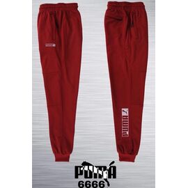Штани спортивні чоловічі AZ1143-6666 wine р.S-2XL "REMAIN" недорого оптом від прямого постачальника