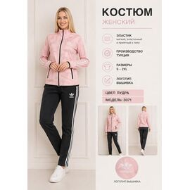 Костюм спортивний жіночий теплий AZ1191-3037 powder р.S-2XL "REMAIN" недорого оптом від прямого постачальника