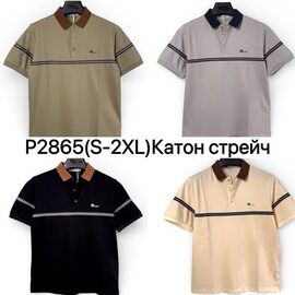 Футболка чоловіча P2865 khaki р.S-2XL "Ale-Ate" недорого оптом від прямого постачальника