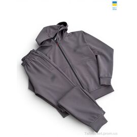 Спортивний костюм чоловічий Весна/осінь 002NI мишиний (5 шт. р.сіткаM-2XL) "Margo" недорого оптом від прямого постачальника