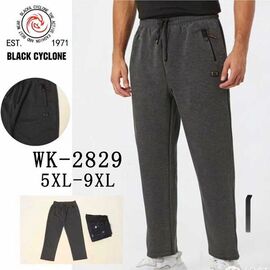 Фотография Штаны спортивные мужские 2829 grey р.5XL-9XL "Hoan" недорого оптом от прямого поставщика