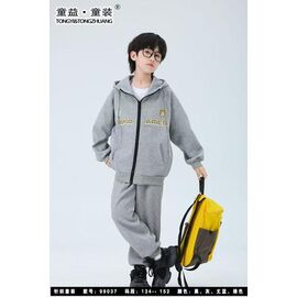 Фотография Костюм детский спортивный на мальчика 99037 grey р.134-152 "Delfinka" недорого оптом от прямого поставщика