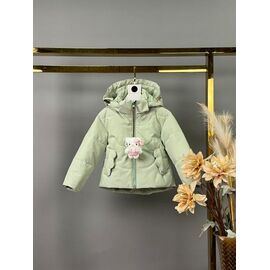 Фотография Куртка детская демисезонная на девочку B601 mint р.68-92 "Delfinka" недорого оптом от прямого поставщика