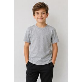 Фотография Футболка детская на мальчика 312-3 grey р.3 "Disneyopt kids" недорого оптом от прямого поставщика