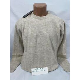 Фотография Свитер мужской 73538-1 l.beige р.3XL-5XL "Sabihina" недорого оптом от прямого поставщика