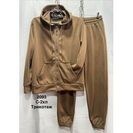 Костюм спортивний жіночий теплий 2093 brown р.44-52 "WELL" недорого оптом від прямого постачальника