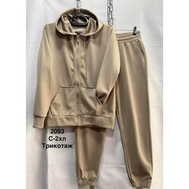 Костюм спортивний жіночий теплий 2093 d.beige р.44-52 "WELL" недорого оптом від прямого постачальника
