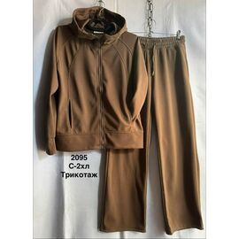 Костюм спортивний жіночий теплий 2095 brown р.44-52 "WELL" недорого оптом від прямого постачальника