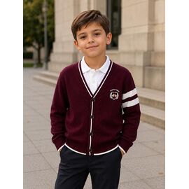 Фотография Кофта детская на мальчика FK1913 wine р.6-9 "Fili kids" недорого оптом от прямого поставщика