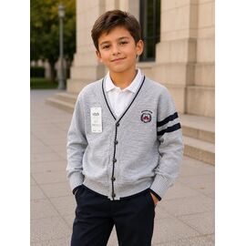 Фотография Кофта детская на мальчика FK1914 grey р.6-9 "Fili kids" недорого оптом от прямого поставщика