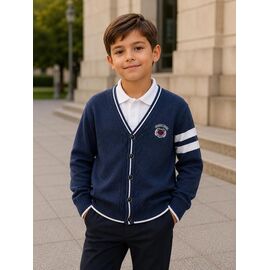 Фотография Кофта детская на мальчика FK1915 navy р.6-9 "Fili kids" недорого оптом от прямого поставщика