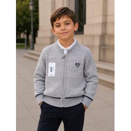 Фотография Кофта детская на мальчика FK1919 grey р.6-9 "Fili kids" недорого оптом от прямого поставщика
