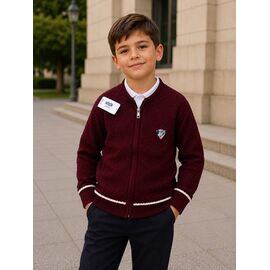 Фотография Кофта детская на мальчика FK1920 wine р.6-9 "Fili kids" недорого оптом от прямого поставщика