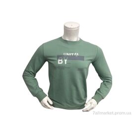 Батник чоловічий Весна/осінь 2020 зелений (4 шт. р.сіткаM-2XL) "TurkishBrend" недорого оптом від прямого постачальника
