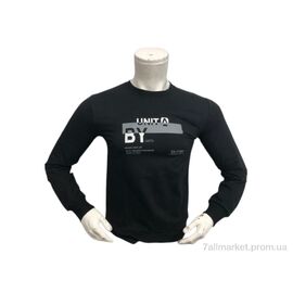 Батник чоловічий Весна/осінь 2020 т.синій (4 шт. р.сіткаM-2XL) "TurkishBrend" недорого оптом від прямого постачальника