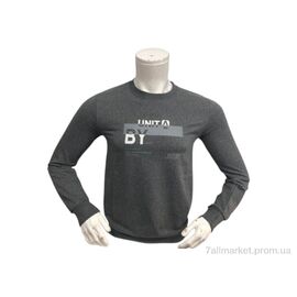 Батник чоловічий Весна/осінь 2020 графіт (4 шт. р.сіткаM-2XL) "TurkishBrend" недорого оптом від прямого постачальника