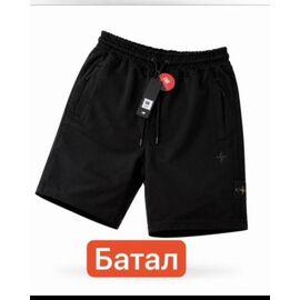 Шорти чоловічі 14857 black р.2XL-6XL "Alex Clothes" недорого оптом від прямого постачальника