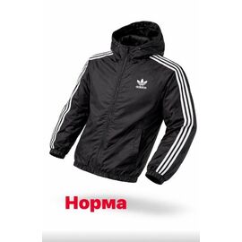 Вітровка чоловіча 14870 black р.S-2XL "Alex Clothes" недорого оптом від прямого постачальника