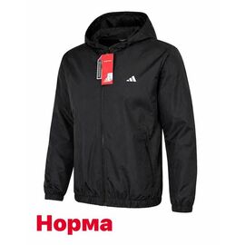 Вітровка чоловіча 14873 black р.S-2XL "Alex Clothes" недорого оптом від прямого постачальника