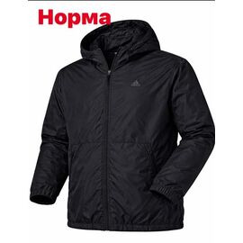 Вітровка чоловіча 14874 black р.S-2XL "Alex Clothes" недорого оптом від прямого постачальника