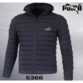 Куртка чоловіча AZ35-5366 grey р.46-54 "REMAIN" недорого оптом від прямого постачальника