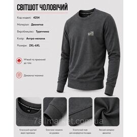 Світшот чоловічий молодіжний Норт Фейс р-ри 2XL-6XL (3кол) "REMAIN" недорого від прямого постачальника