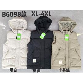 Жилетка чоловіча 6098 beige р.XL-4XL "2BRO" недорого оптом від прямого постачальника