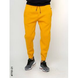 Чоловічі спортивні штани тринитка норма S, M,L,XL,2XL (6кв) "NOWEMBER" недорого від прямого постачальника