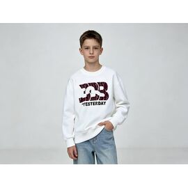 Фотография Свитер детский на мальчика 12704 white р.120-160 "Yalisi" недорого оптом от прямого поставщика