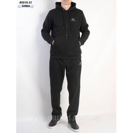 Фотография Спортивний костюм чоловічий тринитка на флісі норма 48(M),50(L),52(XL),54(2XL),56(3XL) (5цв) "NOWEMBER"