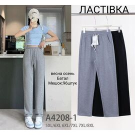 Штани спортивні жіночі A4208-1 mix р.5XL-8XL "Hoan" недорого оптом від прямого постачальника